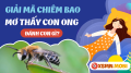 Nằm mơ thấy con ong báo hiệu may mắn hay đen đủi?