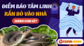 Mơ thấy rắn vào nhà có phải là điềm đại cát?