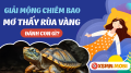 Giải mã điềm báo mơ thấy con rùa vàng là tốt hay xấu