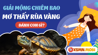 Giải mã điềm báo mơ thấy con rùa vàng là tốt hay xấu