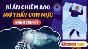 Khám phá ý nghĩa bí ẩn từ giấc chiêm bao thấy con mực