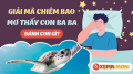 Khám phá ý nghĩa giấc chiêm bao thấy con ba ba