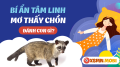 Nằm mơ thấy con chồn là điềm may hay rủi?