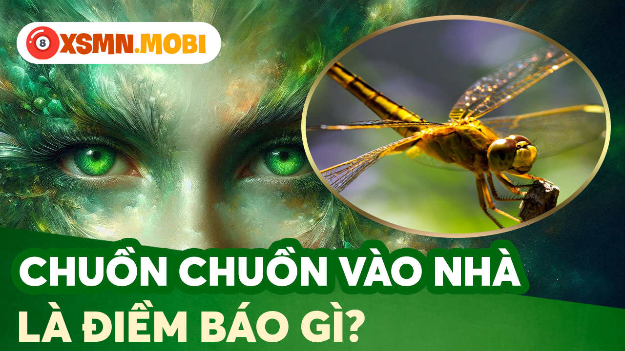 Điềm báo con chuồn chuồn và các con số may mắn linh ứng