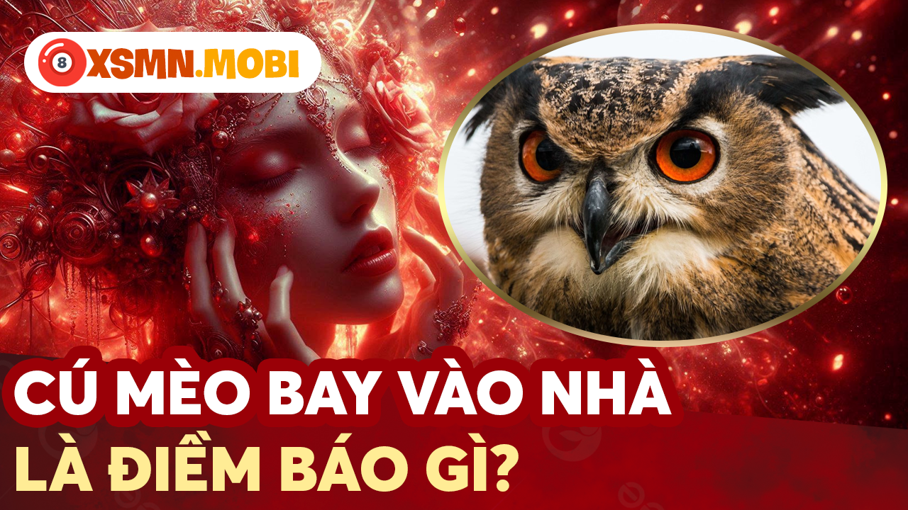 Giải mã điềm báo con cú mèo và bộ số tài lộc