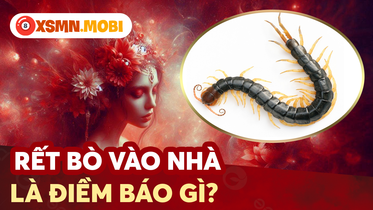 Rết vào hay hay cắn người là điềm báo lành hay dữ?