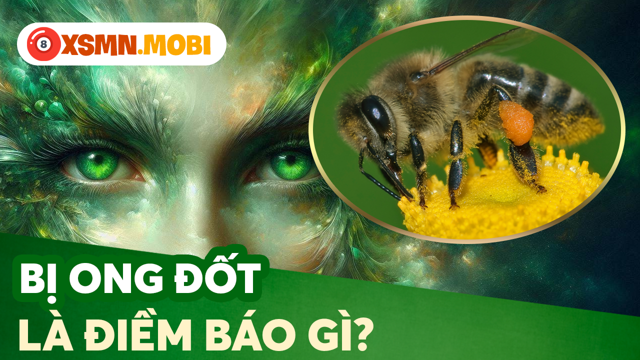 giải mã điềm báo ong vào nhà và hiện tượng liên quan