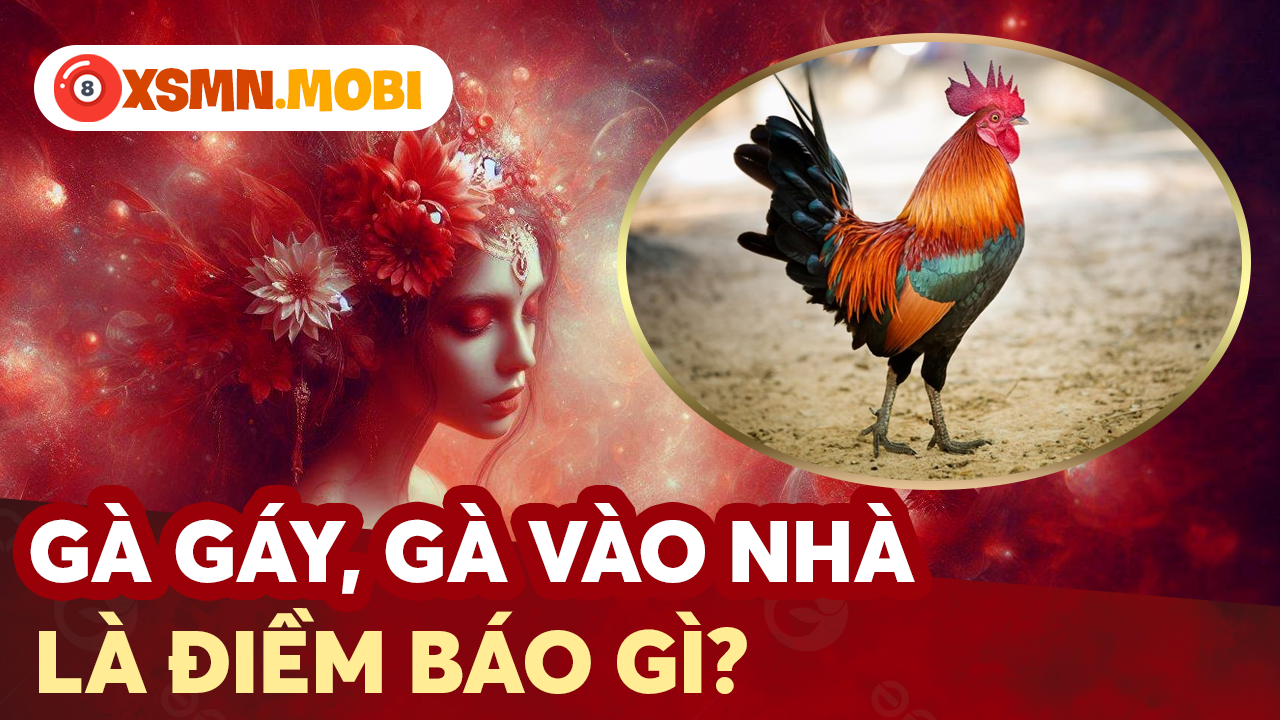 Giải mã điềm báo gà gáy, gà vào nhà và con số tài lộc Giải mã điềm báo gà gáy, gà vào nhà và con số tài lộc