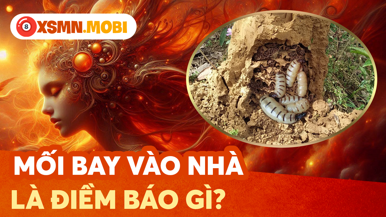 Giải mã hiện tượng mối bay vào nhà và con số linh ứng Giải mã hiện tượng mối bay vào nhà và con số linh ứng
