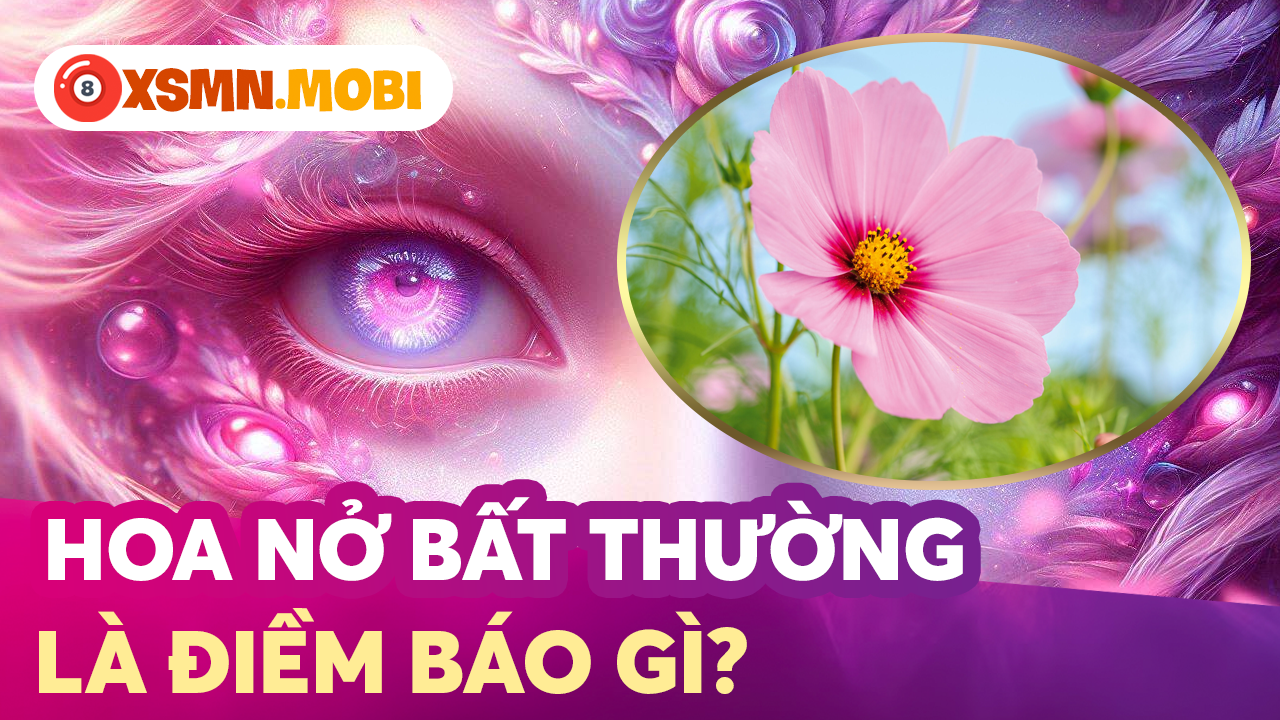 Hoa nở không theo quy luận là điềm lành hay dữ? Hoa nở không theo quy luận là điềm lành hay dữ?