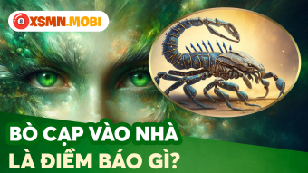 Bò cạp vào nhà: Giết hay đuổi đi tốt hơn? Con số hóa giải vận xui?