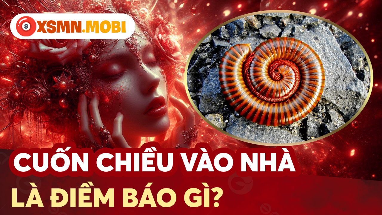 Thấy cuốn chiếu vào nhà là điềm báo lành hay dữ? Thấy cuốn chiếu vào nhà là điềm báo lành hay dữ?