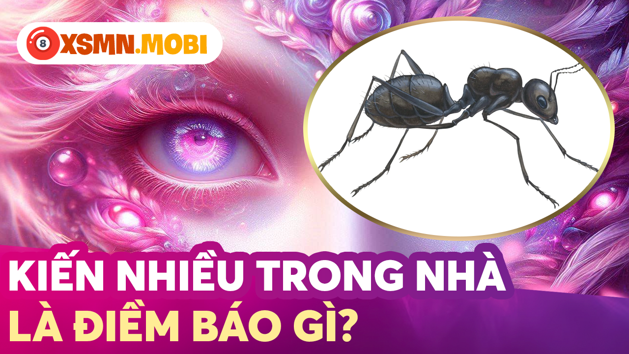 Giải mã điềm báo hiện tượng kiến vào nhà, bu vào người Giải mã điềm báo hiện tượng kiến vào nhà, bu vào người