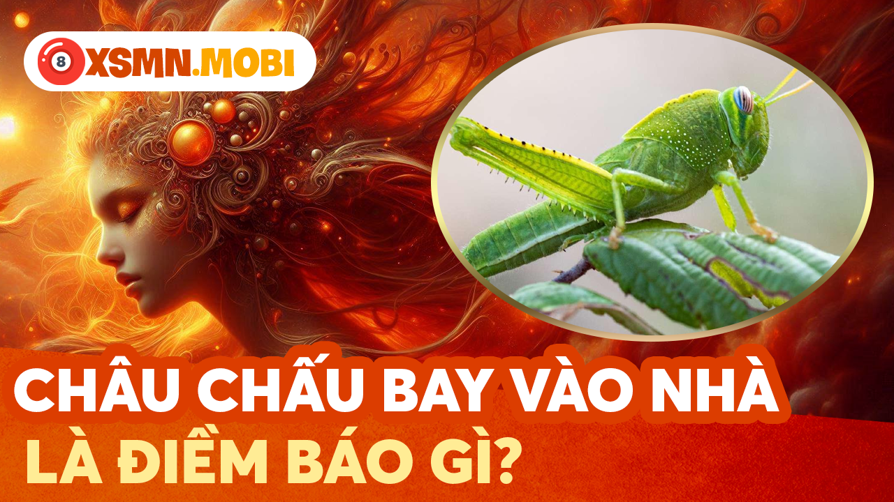 Giải mã hiện tượng châu chấu vào nhà theo tử vi phong thủy