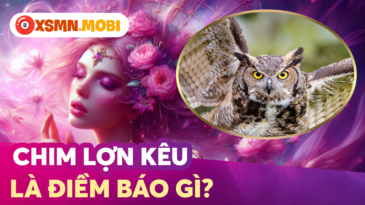 Thấy chim lợn kêu, bay vào nhà là điềm lành hay dữ? Thấy chim lợn kêu, bay vào nhà là điềm lành hay dữ?