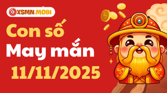 Con số may mắn ngày 11/11/2025: Dẫn lối thịnh vượng 12 con giáp