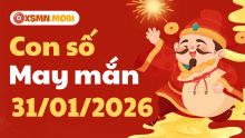 Con số may mắn hôm nay ngày 31/01/2026: Số may mang lại vượng khí
